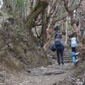 IMG-20230323-WA0078