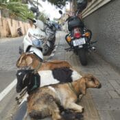 IMG_20230204_134438