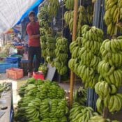 IMG_20230206_150502