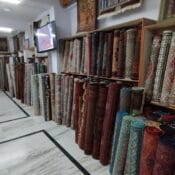 IMG_20240120_161535