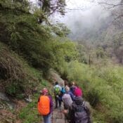 IMG_20240328_140650