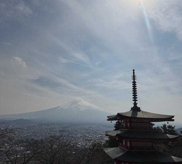IMG-20250610-WA0016