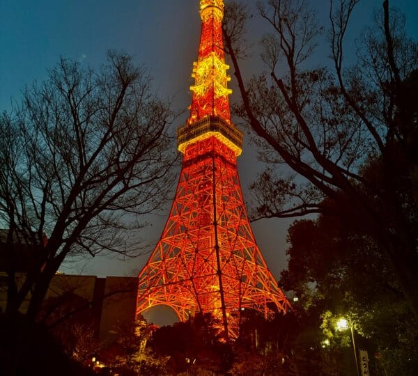 IMG-20250610-WA0028