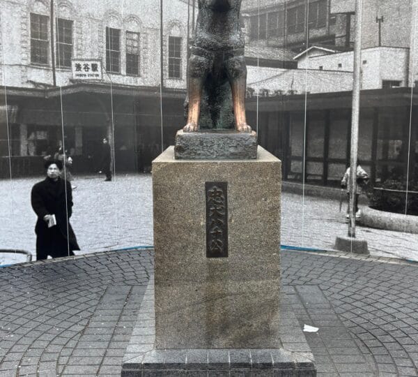 IMG-20250610-WA0038